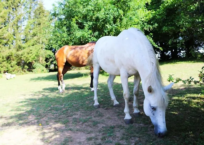 Le Petit Ranch Du Clos De La Chevauchee