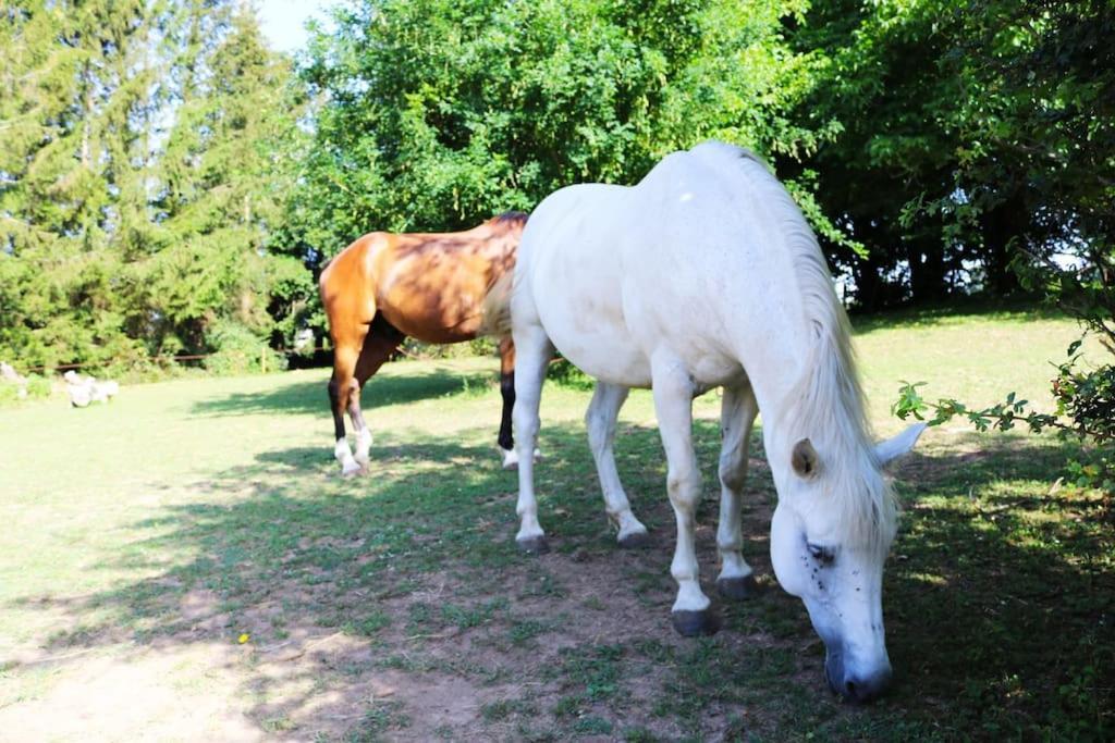 Le Petit Ranch Du Clos De La Chevauchee Holiday home *